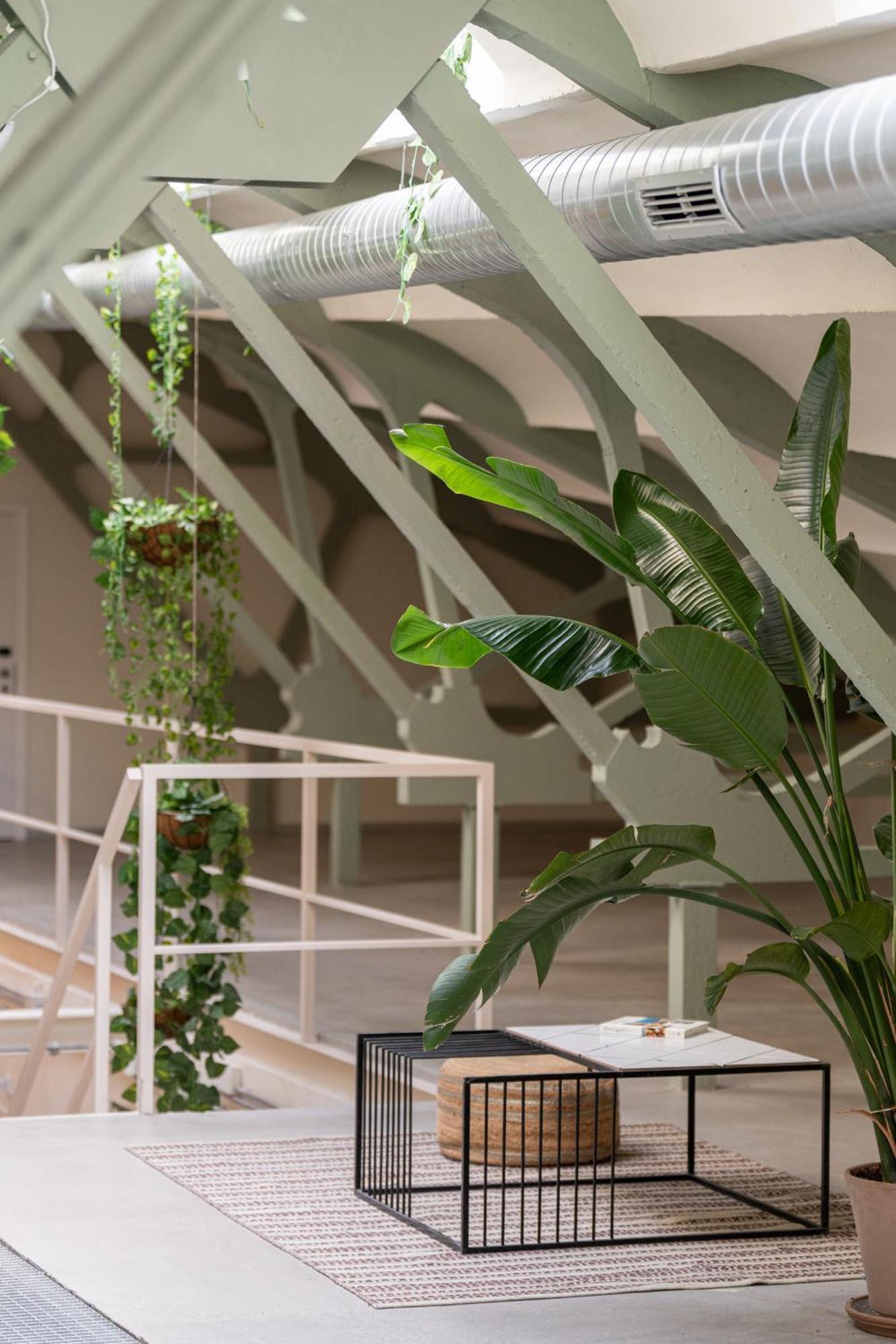 Ola Living Hostal Tetuan Madrid Ngoại thất bức ảnh